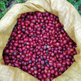 Corpachi Pacamara Anaerobic Natural