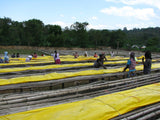 Nensebo Refisa - Ethiopia Washed Wolisho & Dega