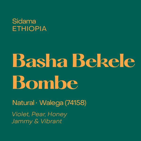 Ethiopia Basha Bekele Bombe, Natural Walega