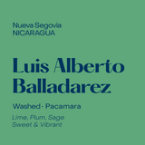 Nicaragua Luis Alberto Balladarez, Washed Pacamara