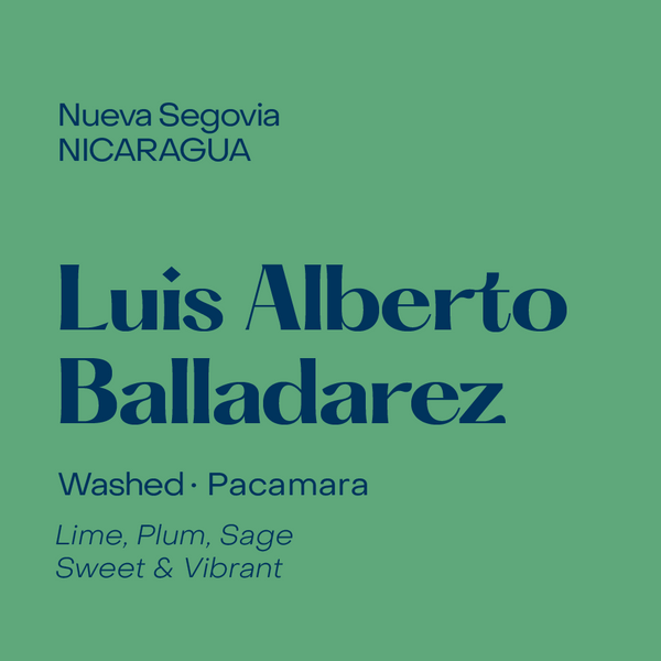 Nicaragua Luis Alberto Balladarez, Washed Pacamara