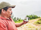 Faver Ninco - Pink Bourbon