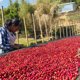 Chilaka 240hr Natural