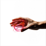 Trunk X OREA O1 Brewer