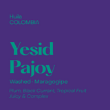 Colombia Yesid Pajoy, Washed Maragogipe