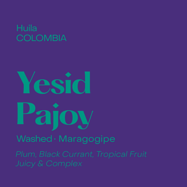 Colombia Yesid Pajoy, Washed Maragogipe