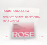 Ponderosa Geisha Anaerobic Natural