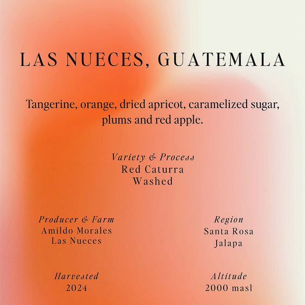 Las Nueces, Guatemala